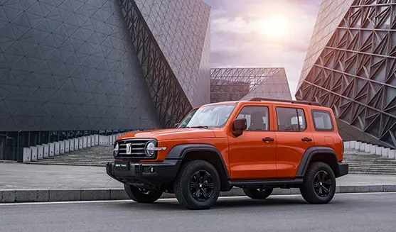 Preview Gwm Autos 4X4 Poer Y Tank
