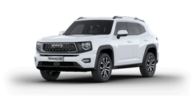 4x2 DELUXE HÍBRIDA