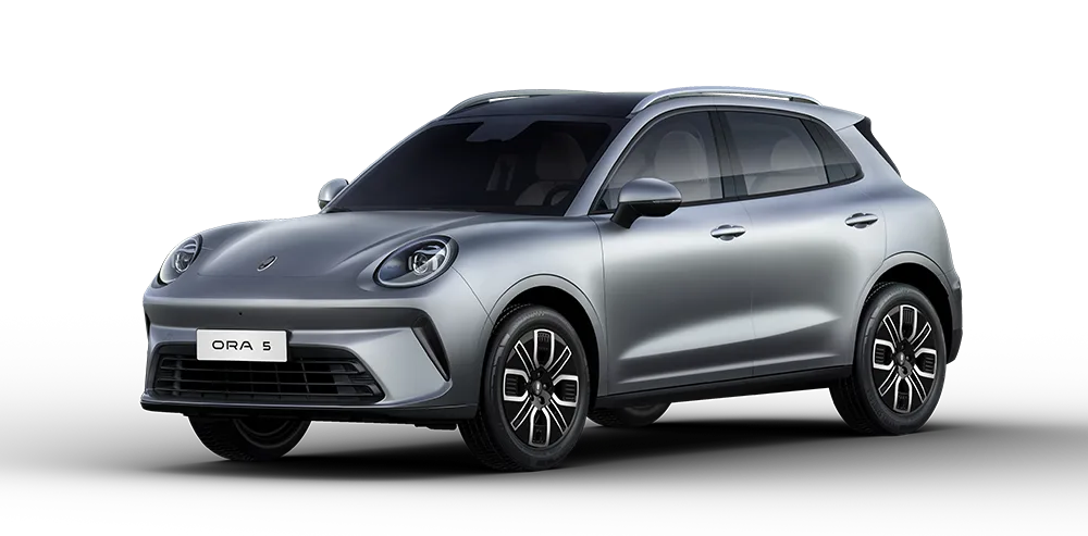 EV 2WD DELUXE - Gris Mate Exterior
